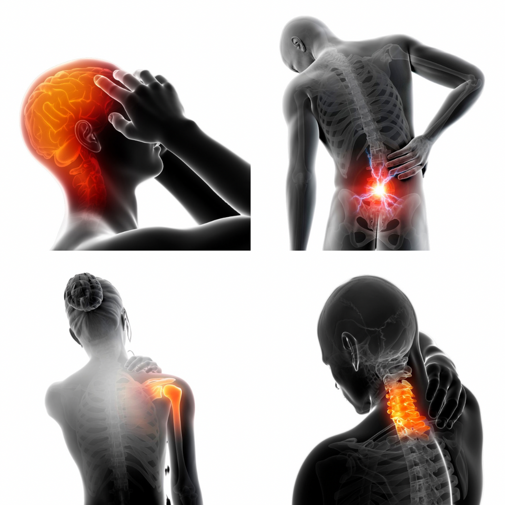 Roll's weg zum Sensations-Preis!!!